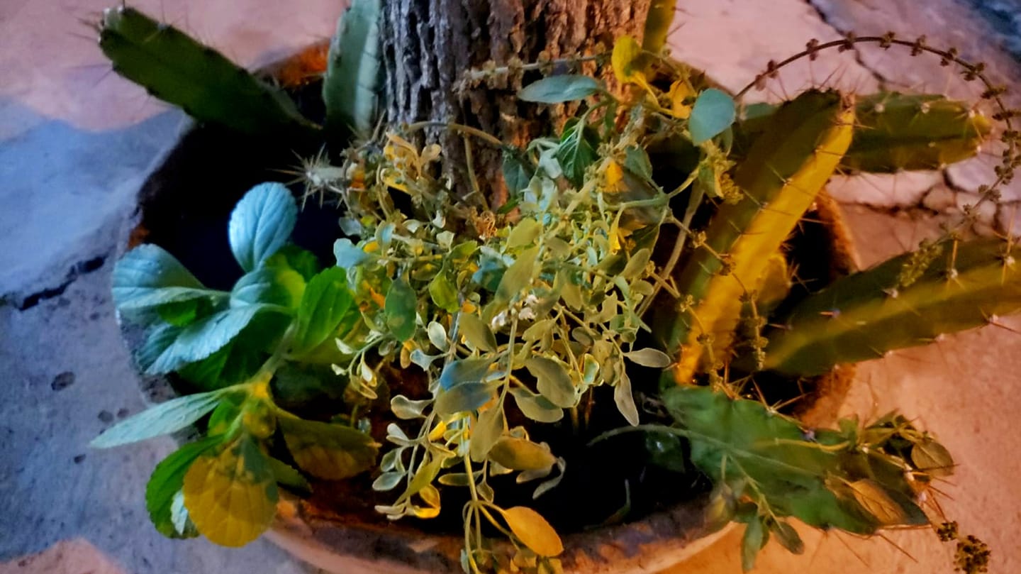 ChoppRampim ChoppRampim